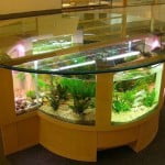 dekoratif-akvaryum-modeli-1532158
