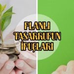planli-tasarrufun-ipuclari-nedir