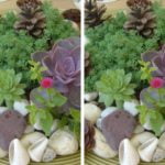 cakil-tasli-saksilar