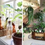 Saksi-Duzenleyici-Bydekorasyon