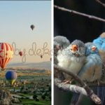 ilham-veren-dekorasyonlar-17-bydekorasyon