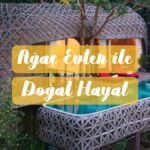 Ağaç Evler ile Doğal Hayat – bydekorasyon