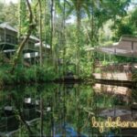 Daintree-Eco-LodgeaSpa-Avustralya-bydekorasyon
