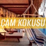 ÇAM KOKUSU ZAKROS OTEL LYKIA – bydekorasyon