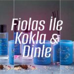 Fiolas İle Kokla ve Dinle – bydekorasyon
