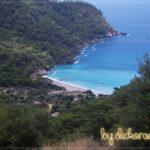 Buyuk-Boncuklu-Koyu-bydekorasyon