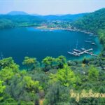 Okluk-Koyu-bydekorasyon