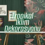 Tropikal İklim Dekorasyonu – bydekorasyon