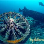 YUZLERCE-DENIZ-CANLISIYLA-MUHTESEM-GORUNTU-bydekorasyon