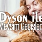 Dyson ile Evcil Hayvan Bakımı ve Mevsim Geçişleri – bydekorasyon