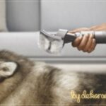 Evcil-Hayvan-Bakim-Seti-bydekorasyon